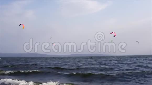 美丽的海景有许多风筝爱好者在晴朗的天气里视频的预览图