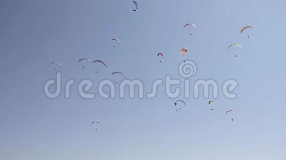几个滑翔伞在晴朗的蓝天上的彩色降落伞视频的预览图