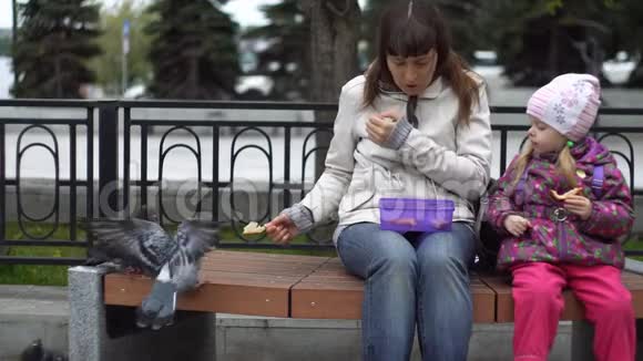 母亲和女儿在寒冷阴天吃三明治喂鸽子视频的预览图