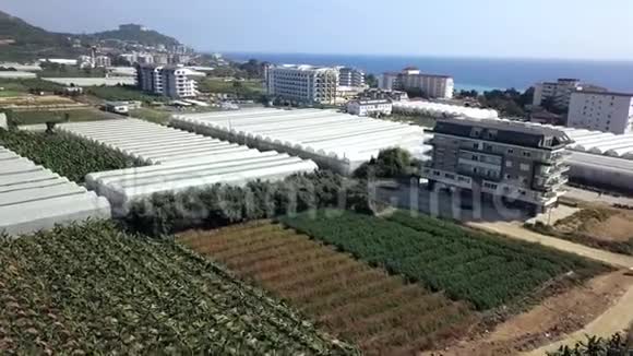 俯瞰人工林温室之城剪辑附近有农业的城市地区种植粮食植被视频的预览图