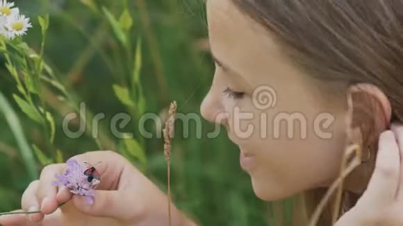 少女喜欢花上的飞蛾温暖的夏日视频的预览图