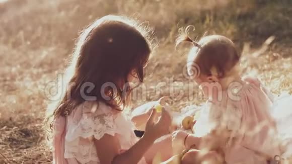 两个小妹妹坐在大自然的草地上视频的预览图