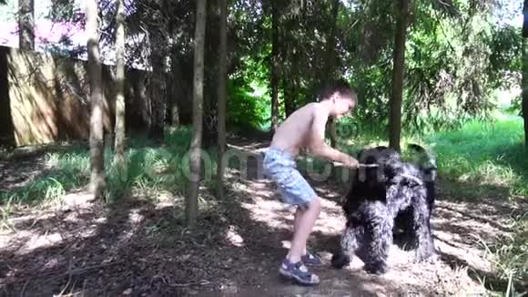 男孩在大自然中和狗玩耍动作缓慢视频的预览图