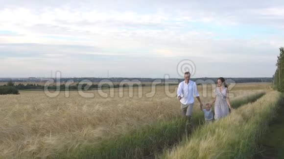 妈妈爸爸和小儿子一起在户外幸福的一家人走在夏天的草地上慢动作视频的预览图