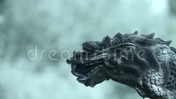 龙大理石雕塑日光足视频的预览图