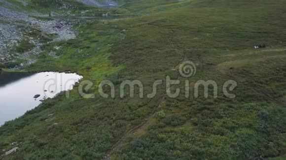 鸟瞰人们骑马在山野骑马在山上在湖里游泳视频的预览图