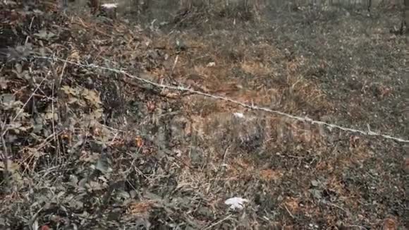 天然环境带铝铁丝网锈色分级和锈链视频的预览图
