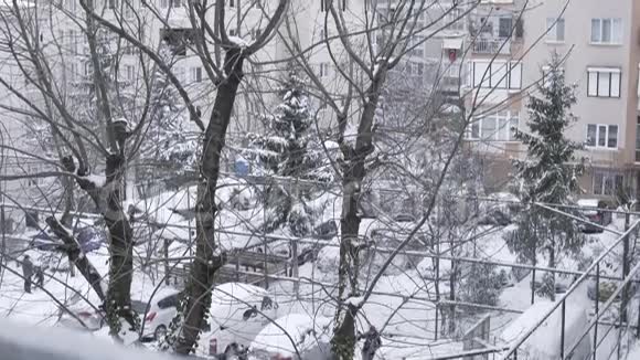 城里下雪的天气视频的预览图