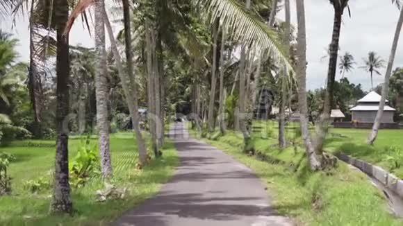 棕榈树和绿色热带丛林之间的空路供旅行异国情调的印尼村庄被野生包围视频的预览图