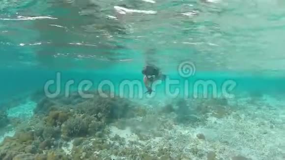 深色头发的年轻女子穿着白色泳衣在水下可爱的美人鱼戴着潜水面具浮潜表演蓝色海星视频的预览图