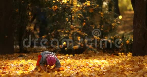 可爱的小女孩在秋天的森林里玩树叶视频的预览图