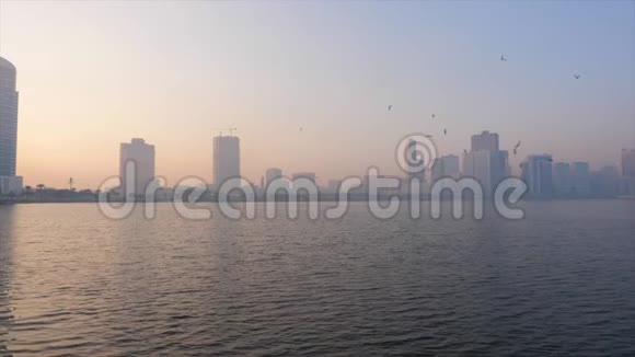 阿联酋迪拜摩天大楼背景下的海鸥飞翔视频的预览图