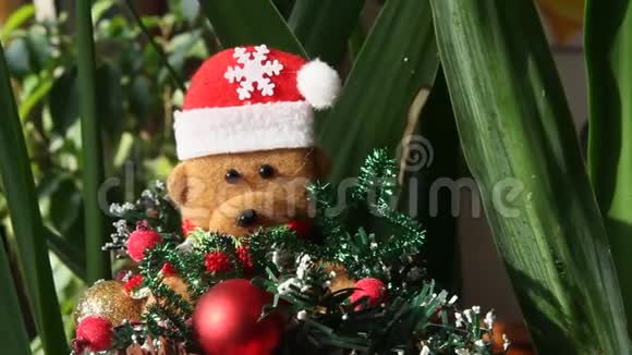 用气球和绿色树枝装饰的圣诞玩具视频的预览图