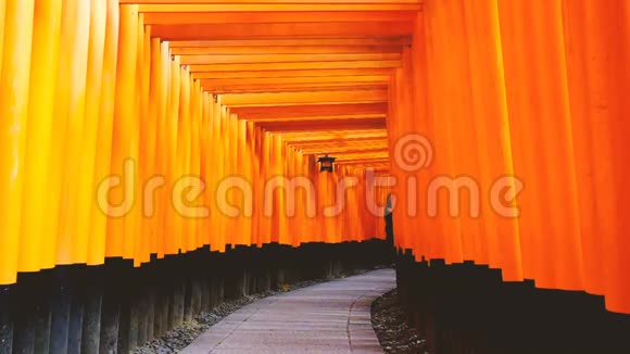 日本京都神道神社FushimiInari神社或FushimiInariTaisha一座日本纪念碑以其闻名视频的预览图