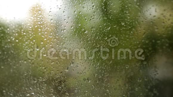 雨滴在窗玻璃上树背景模糊视频的预览图