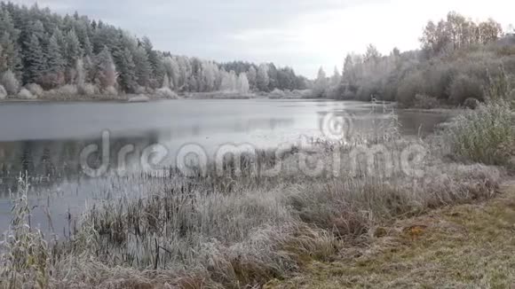 十月晨霜在磨坊池塘布格罗沃村普什金斯基戈里视频的预览图