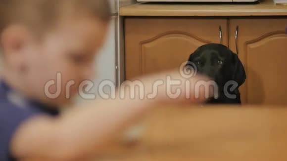 可爱的小男孩在室内吃饭视频的预览图