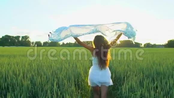 美丽的女孩戴着围巾随风飞翔日落时在麦田里奔跑自由健康幸福观念视频的预览图