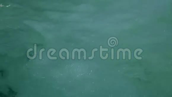 温泉浴视频的预览图