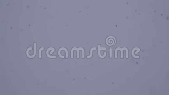 雪花颗粒慢慢落在白色背景上的抽象背景视频的预览图