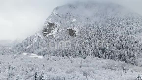 阴天的冬林鸟瞰图一种美丽的冬天云杉和松树在山上的雪地里视频的预览图