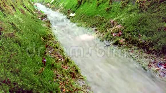 山溪夏天在绿色公园里流淌的小溪流动的水小河瀑布美丽小河i视频的预览图
