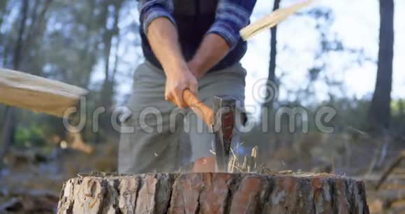 伐木男用斧子在森林里砍木头视频的预览图