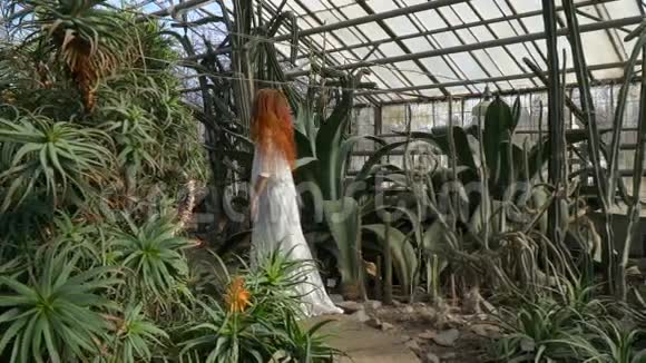 植物园中央穿着裙子的神秘女孩视频的预览图