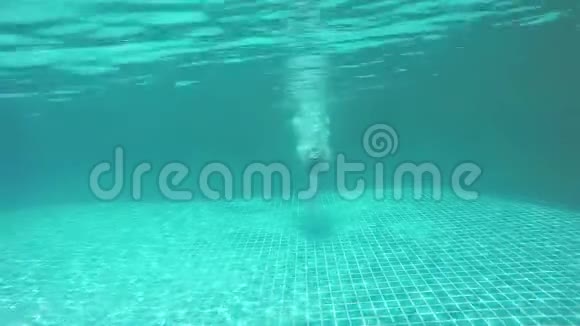 年轻漂亮的女人跳进游泳池在水下游泳1920x1080视频的预览图