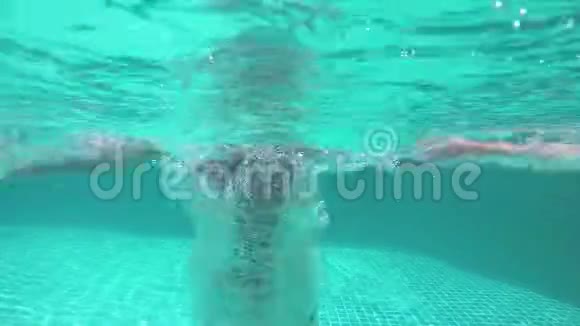 布鲁内特小姐跳到游泳池游泳水下的看法挥动双手对相机1920x1080视频的预览图