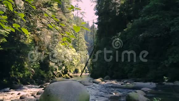 溪流穿过岩石和巨石沿着林恩峡谷公园北温不列颠哥伦比亚省加拿大视频的预览图