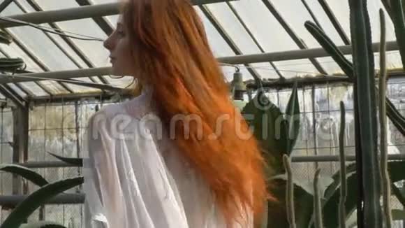 红发修长的少女环顾四周视频的预览图