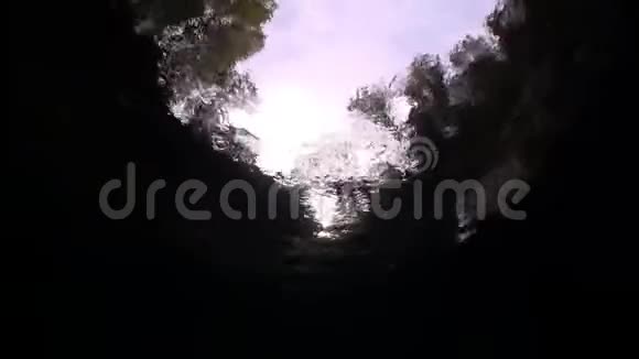 从韦尔扎斯卡山河透明水下可见的树木视频的预览图