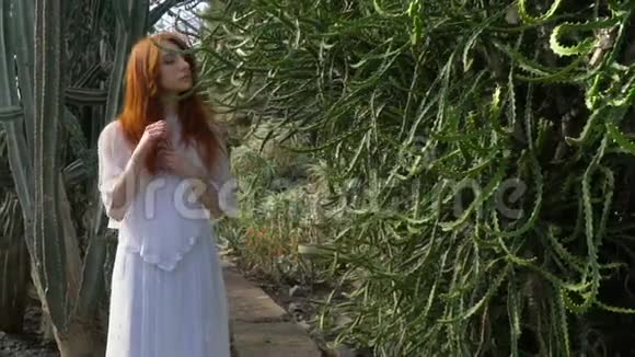 红发女孩在植物园里检查仙人掌视频的预览图
