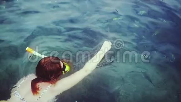 顶部的年轻女子比基尼浮潜面具喂养鱼与一块面包在海洋慢动作视频的预览图