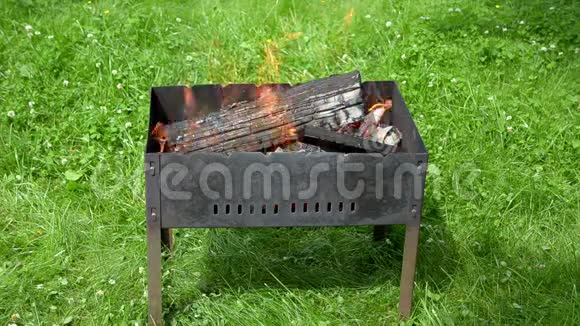 花园烧烤的火舌景观视频的预览图