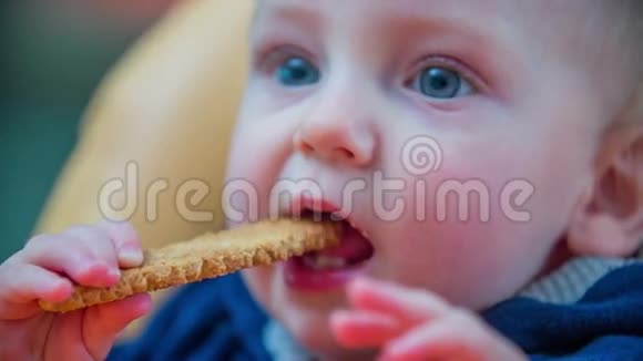 蓝眼睛宝宝吃饼干视频的预览图