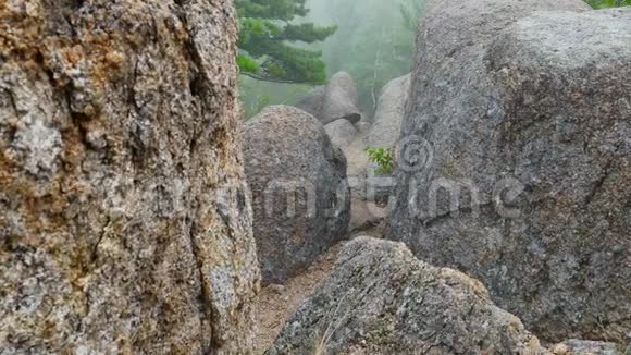 俄罗斯远东龙公园石头在雾山木滑块4K视频的预览图