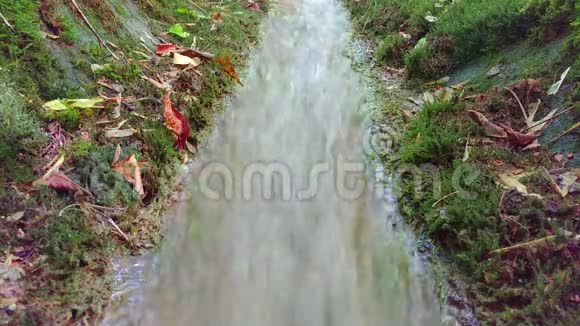 山溪夏天在绿色公园里流淌的小溪流动的水小河瀑布美丽小河i视频的预览图