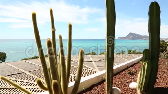 西班牙海岸的Cacti视频的预览图