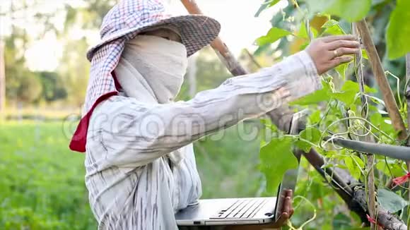 4K农民利用笔记本电脑在有机农场检查过程和记录技术农业的概念视频的预览图