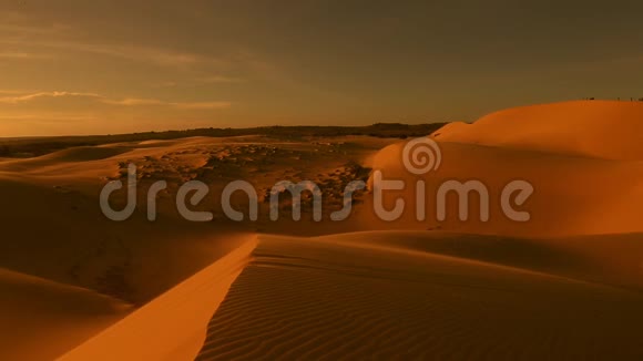 沙漠地平线恐慌视频的预览图