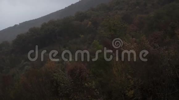 秋天的森林在风雨中吹视频的预览图