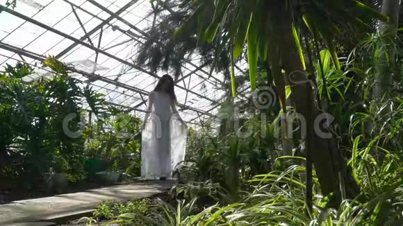 一个穿裙子的女孩正沿着植物园散步视频的预览图
