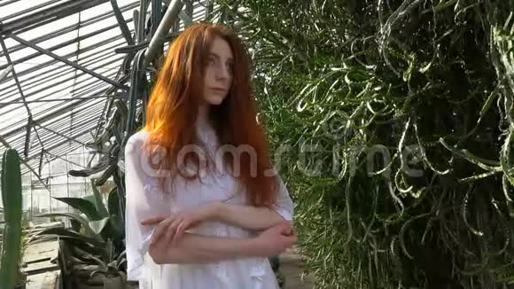 红发女孩披着一件白色连衣裙头发凌乱站在仙人掌附近视频的预览图