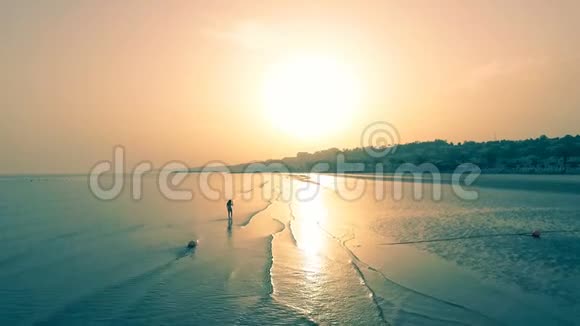 年轻的女人在日落或日出的背光下在金色的海滩上散步性感苗条的女孩散步放松视频的预览图