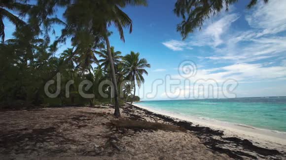 在多米尼加共和国蓬塔卡纳的热带岛屿海滩上荡秋千的男子享受暑假视频的预览图