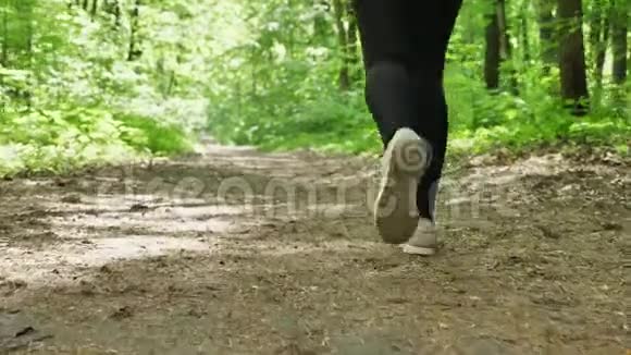 在50英尺高的森林里慢跑时用跑鞋将女性的腿收起来视频的预览图