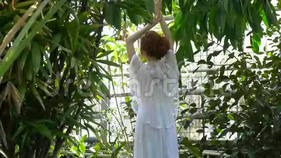 红发女孩穿着雪白的裙子站在植物园里站在植物中间后景视频的预览图