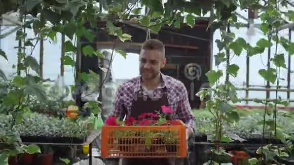 戴着围裙的快乐微笑的男人在温室里捧着鲜花的盒子视频的预览图